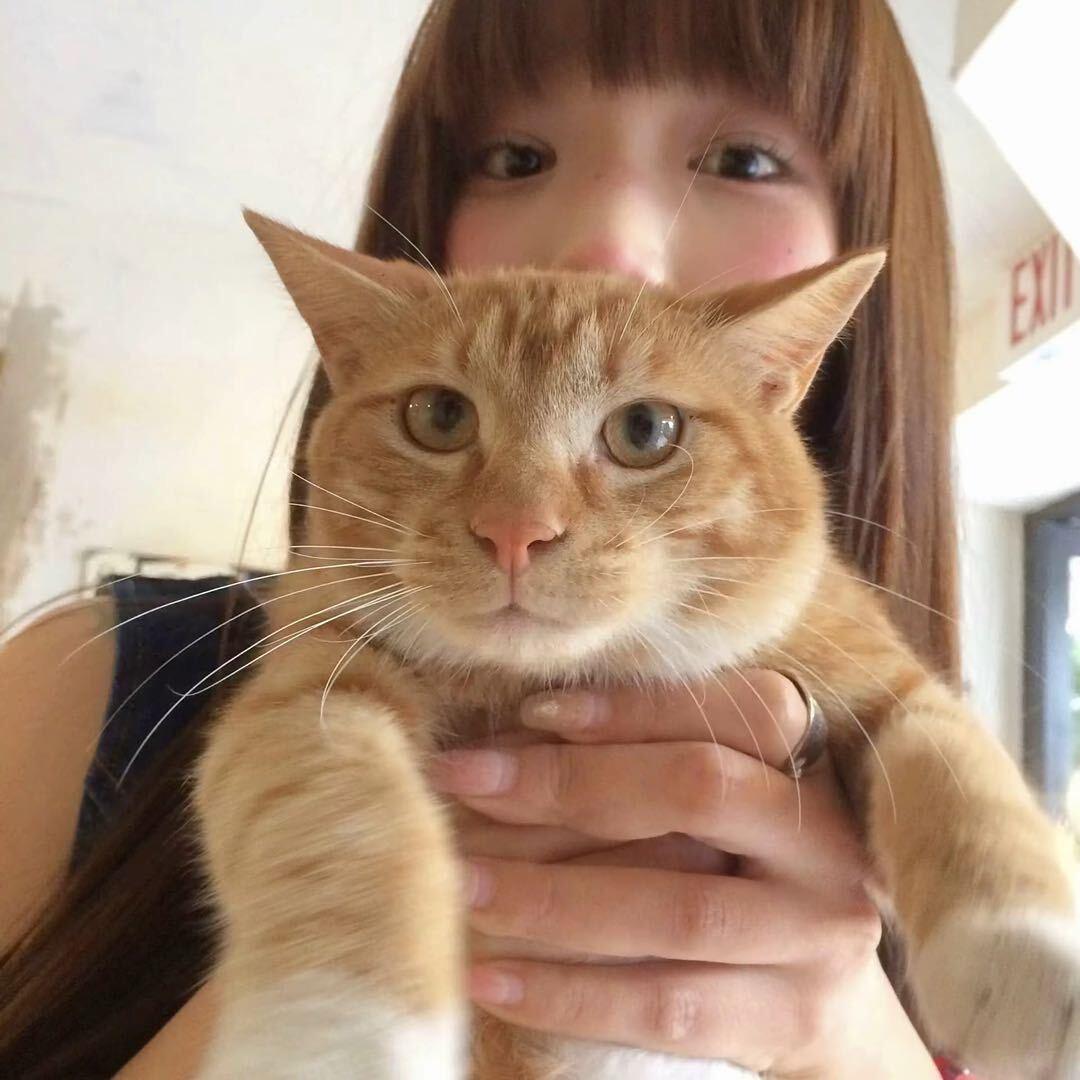 @欣子