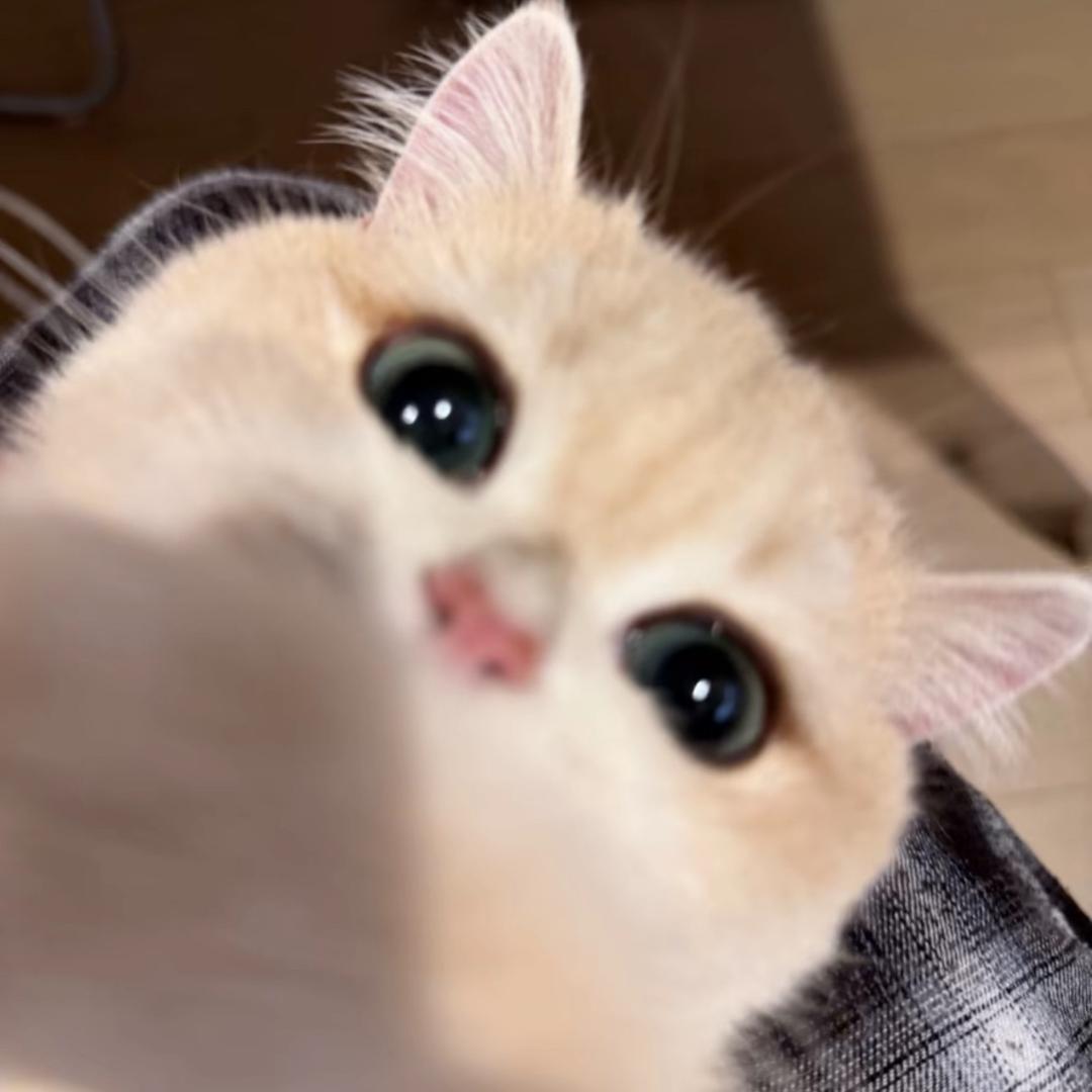 別來無恙