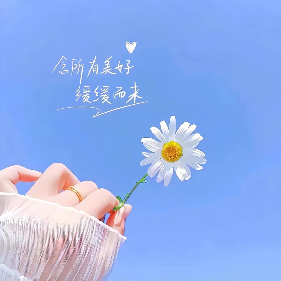 甜回百货