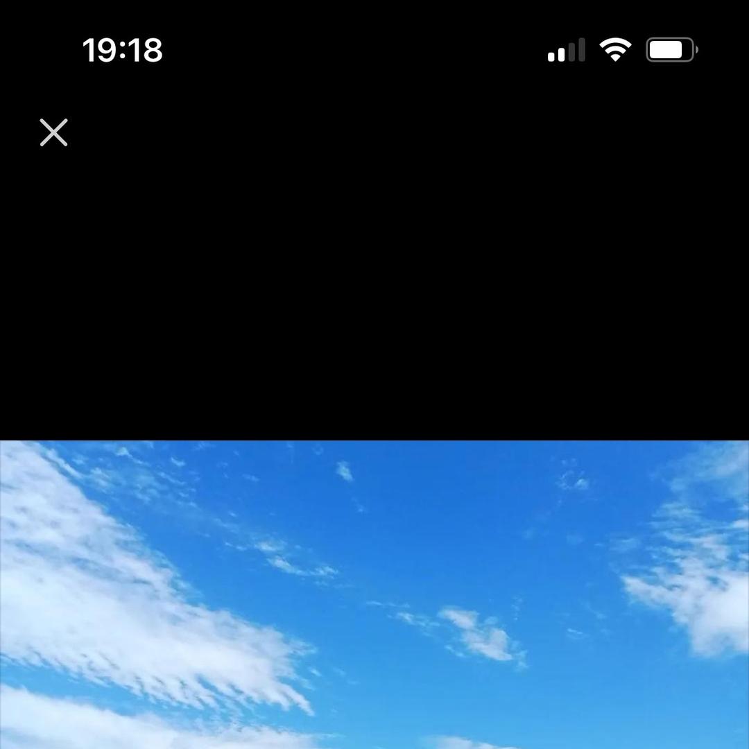 陈牛牛商贸行
