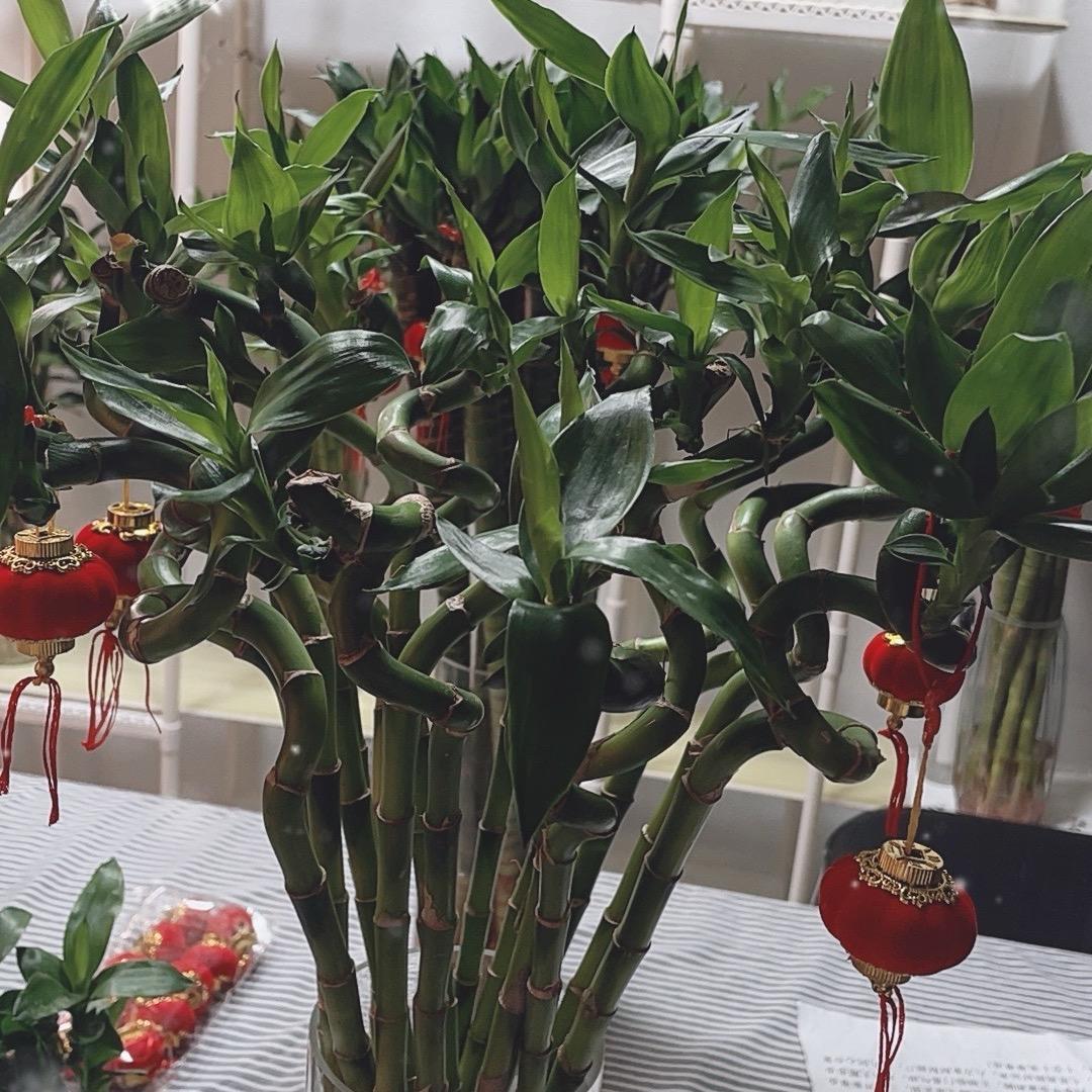 莫等花开. 早点下手。