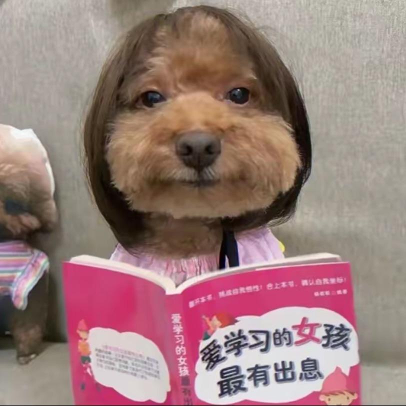 白宝粥🫕