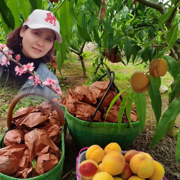 富池女儿阶桃苑