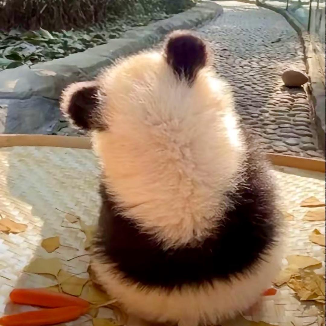 适逢其时