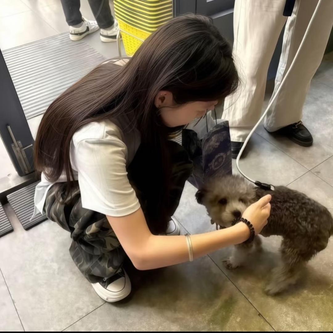 下一刻.（见过老薛和花花版）