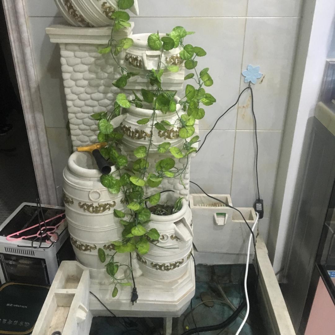 不努力你的未来永远都是一个梦 高