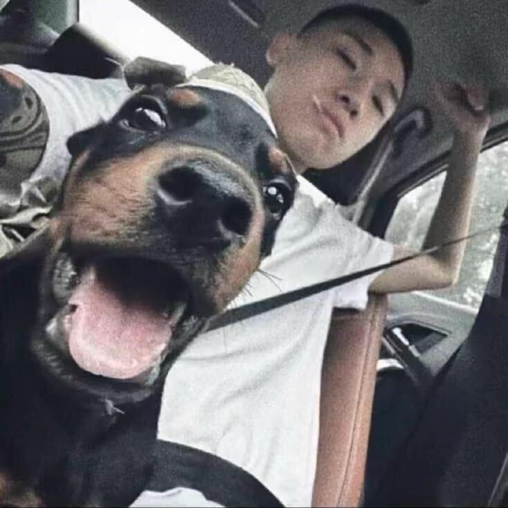 小黑