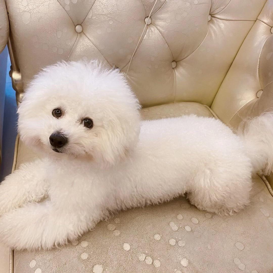 书业
