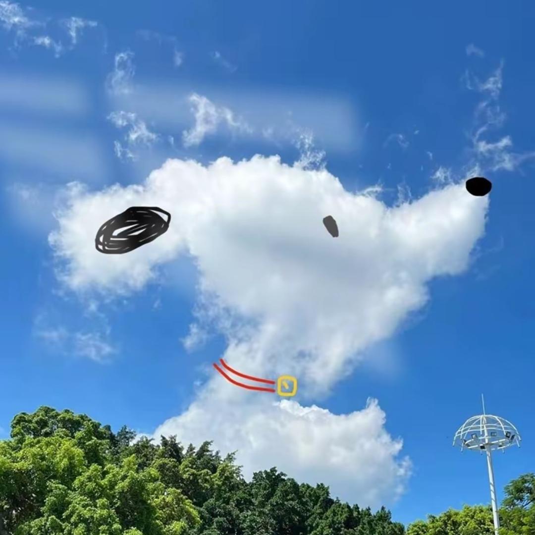 柚柚.