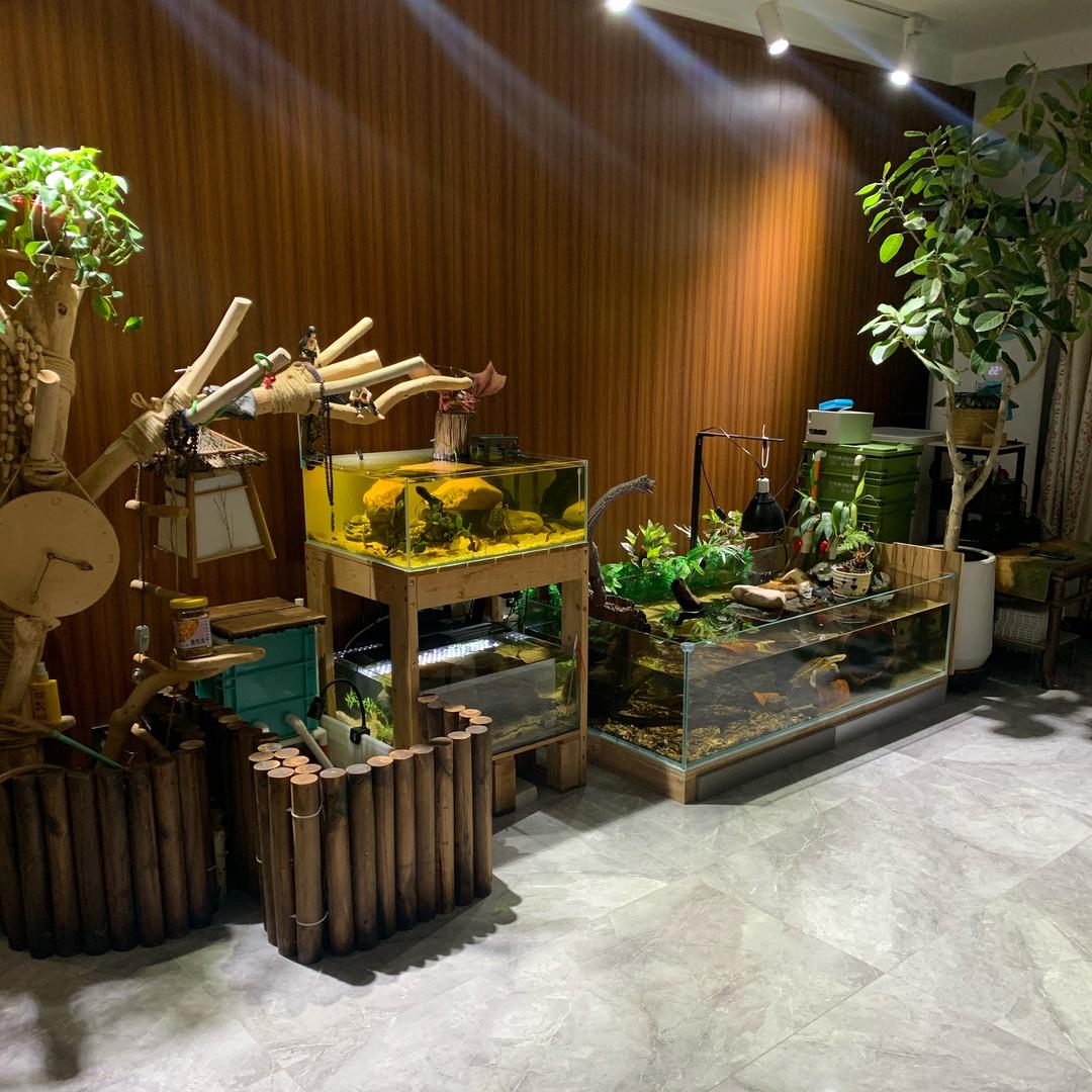 83大叔👉🏻辫哥