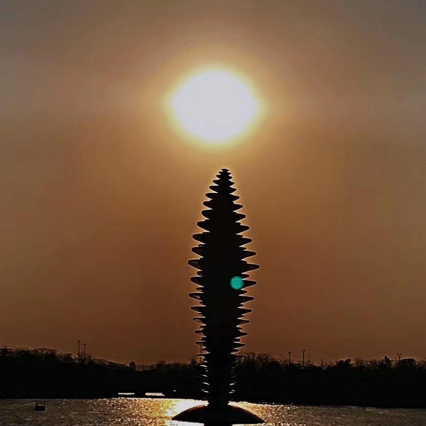 沙漠狼