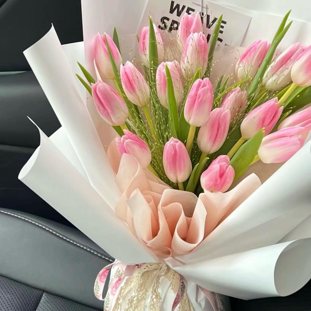 天天太阳花基地