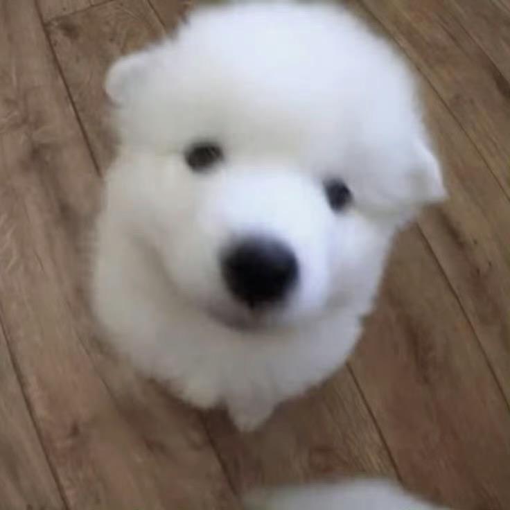 Jiatengyt
