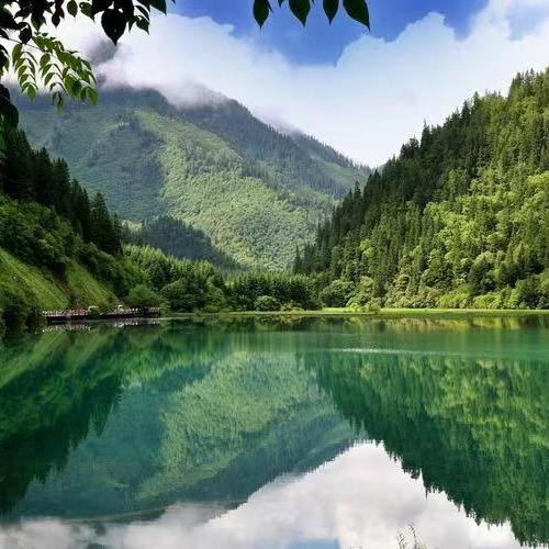 迎宇玻璃钢格栅(新旧都有)
