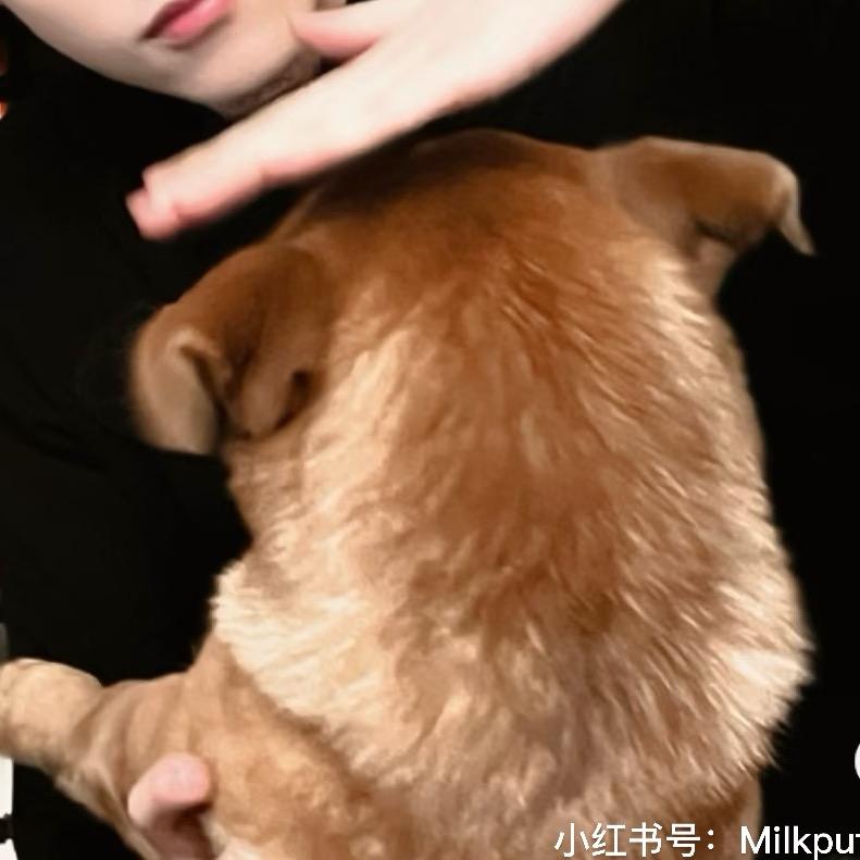 🐸喜欢yyj前晾🩲