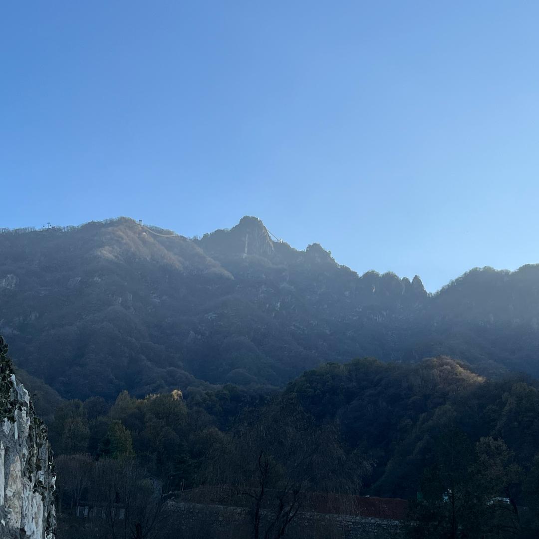 迎着太阳看着远方