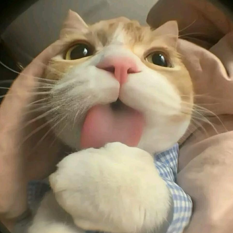 冰红茶^ ^