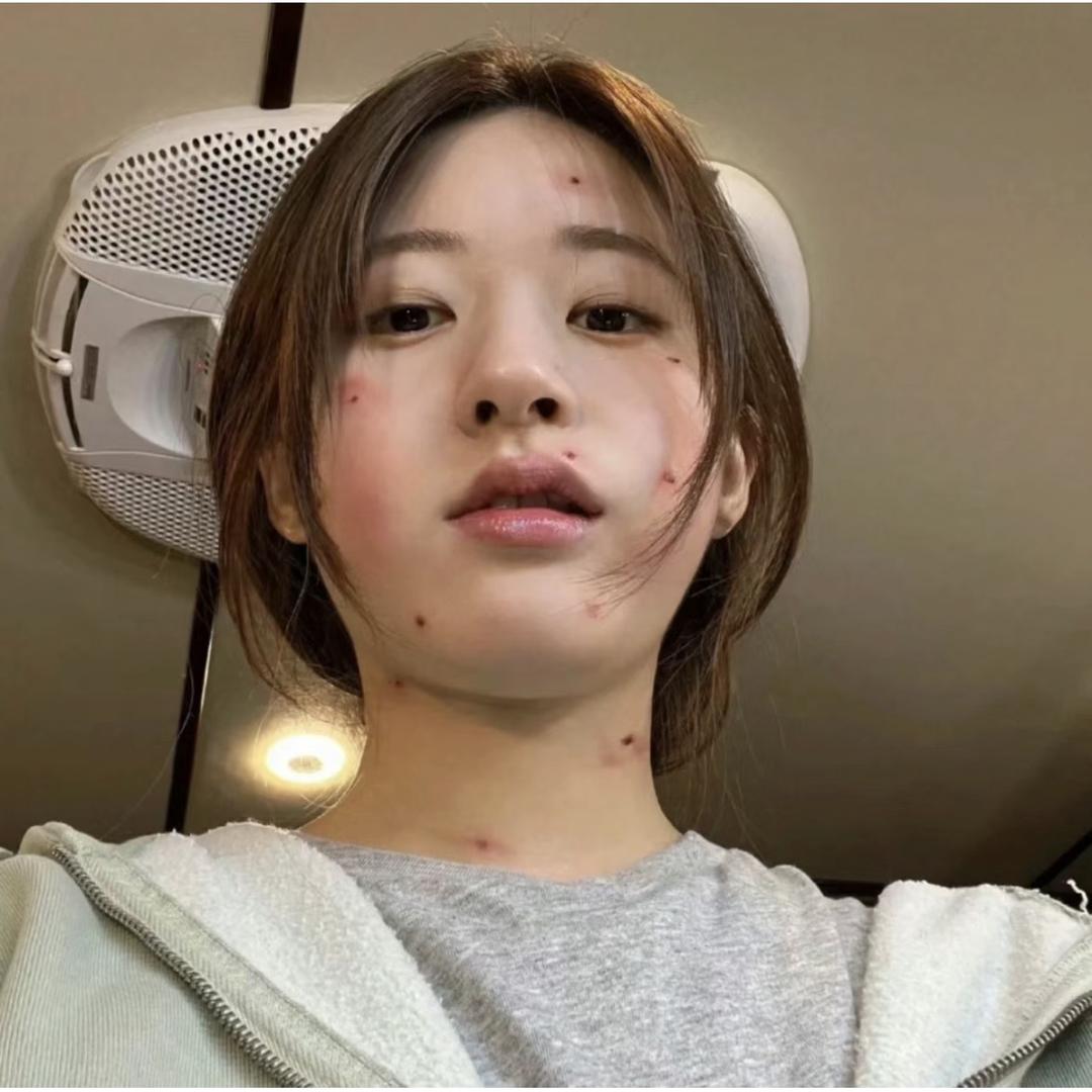 珍珍.