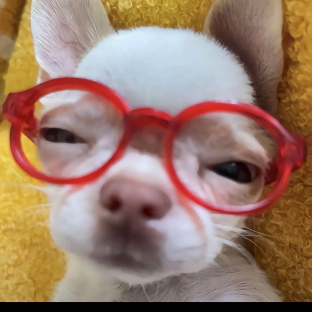 偷霸总蕾丝内裤套头上狂奔的那个雨