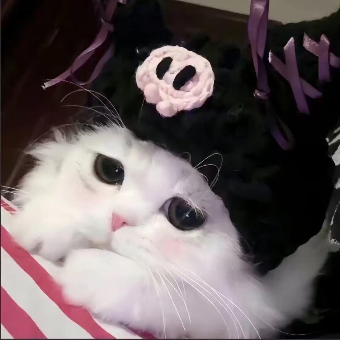 怪兽bb