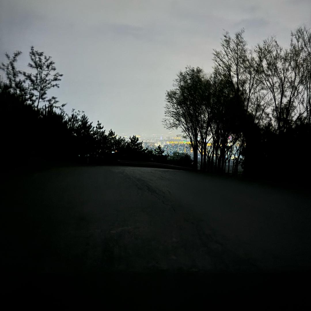 满山猴子，我腚最大