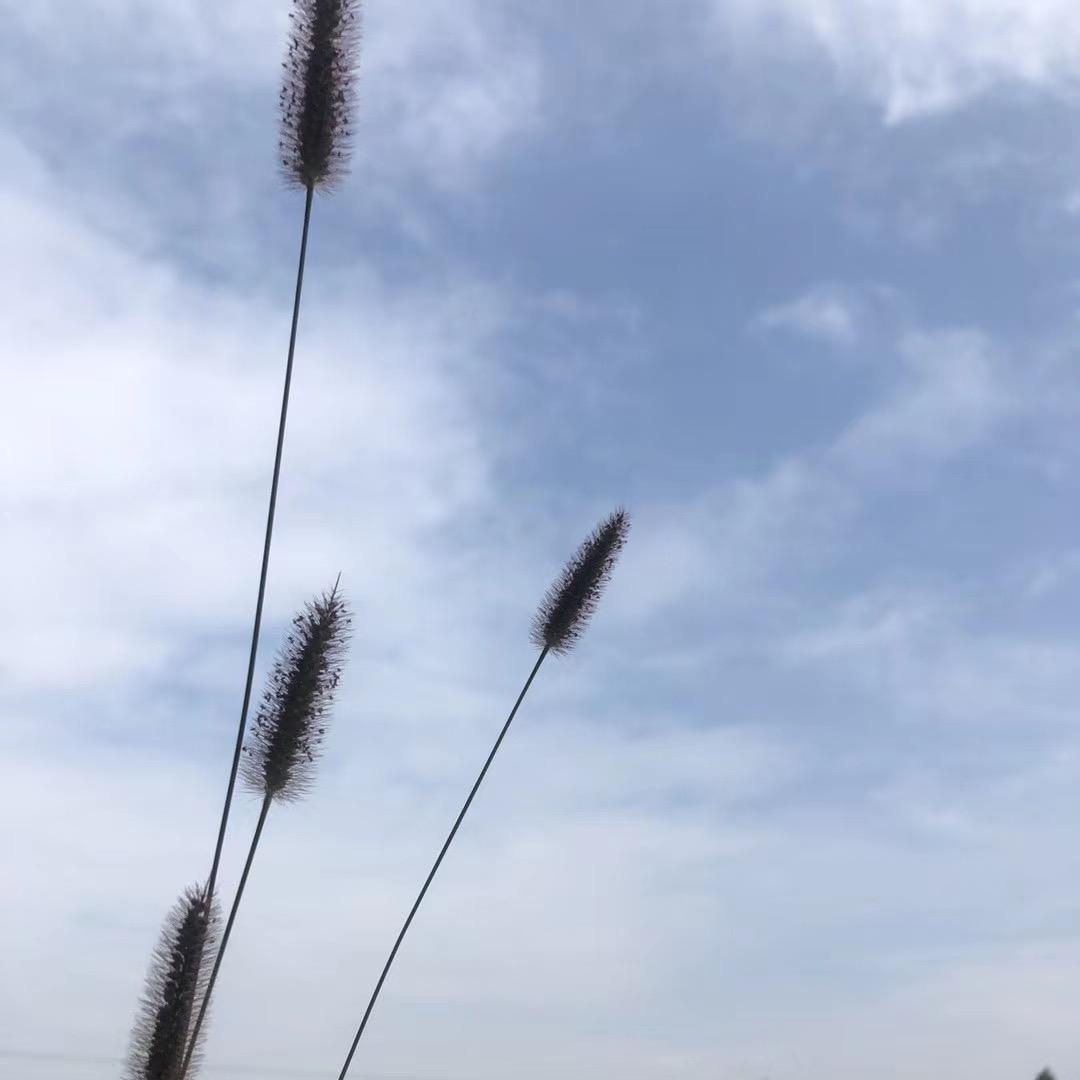 🍃小蔡🥬