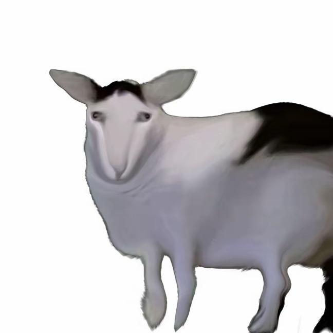 已经醒