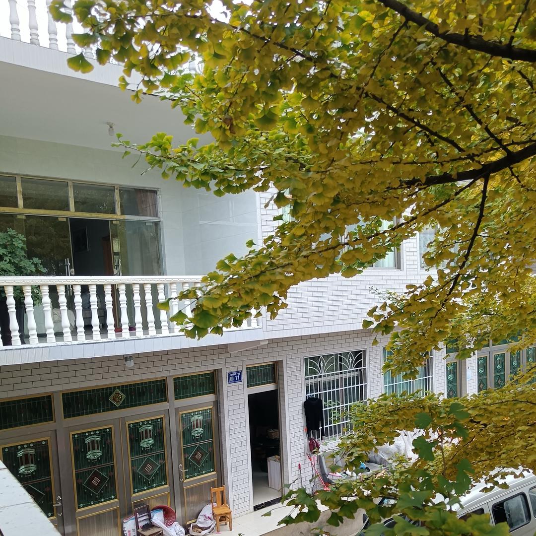 杨成