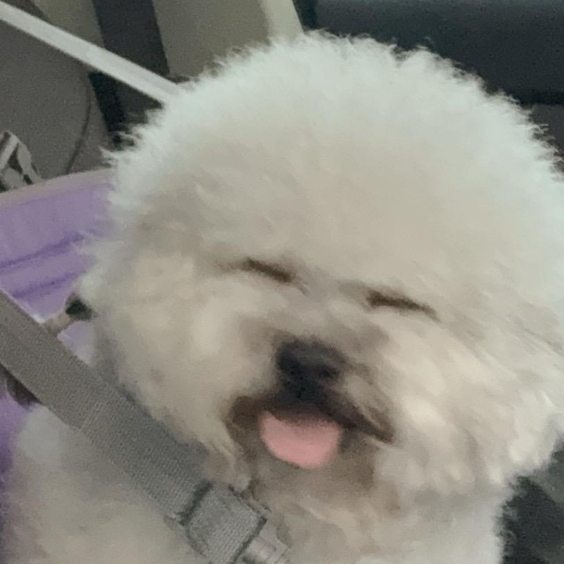 那黑的终点会有光