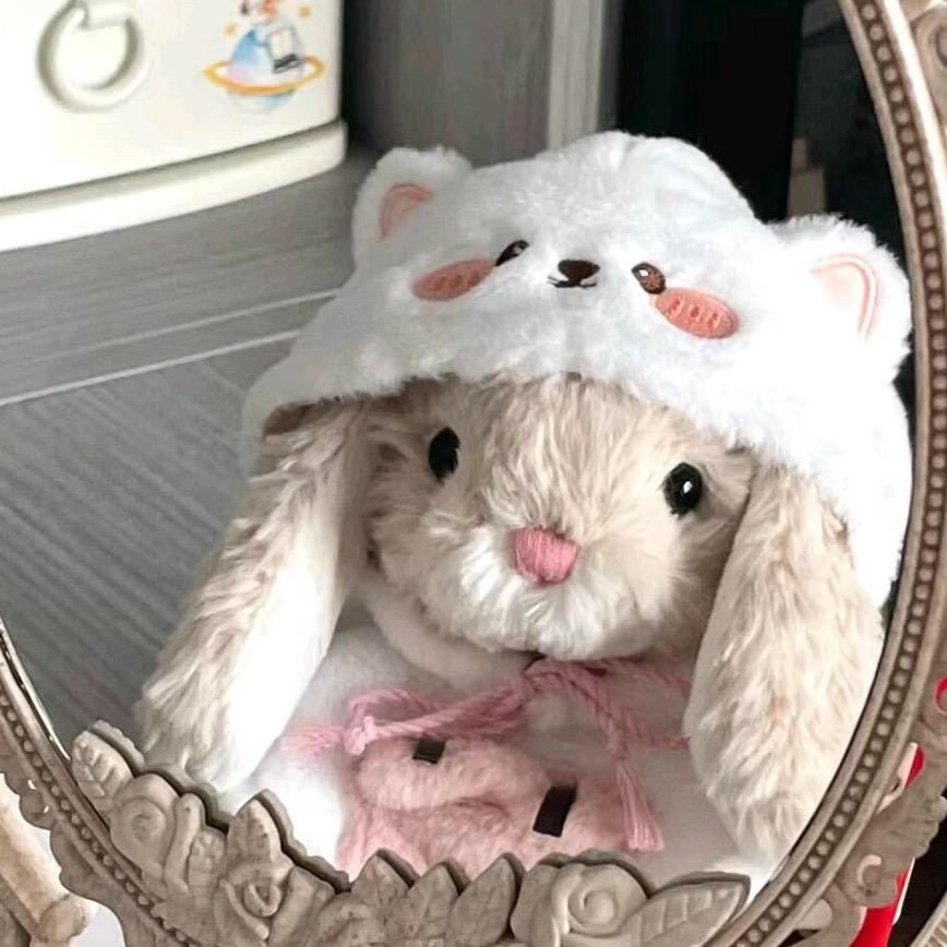 兔子的藏宝阁