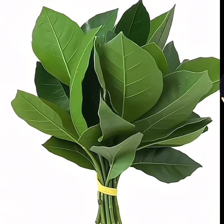 🌶️廾匸🌶️