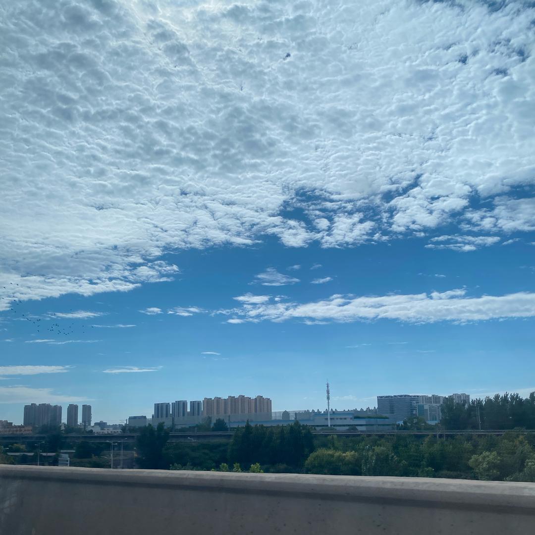 中文