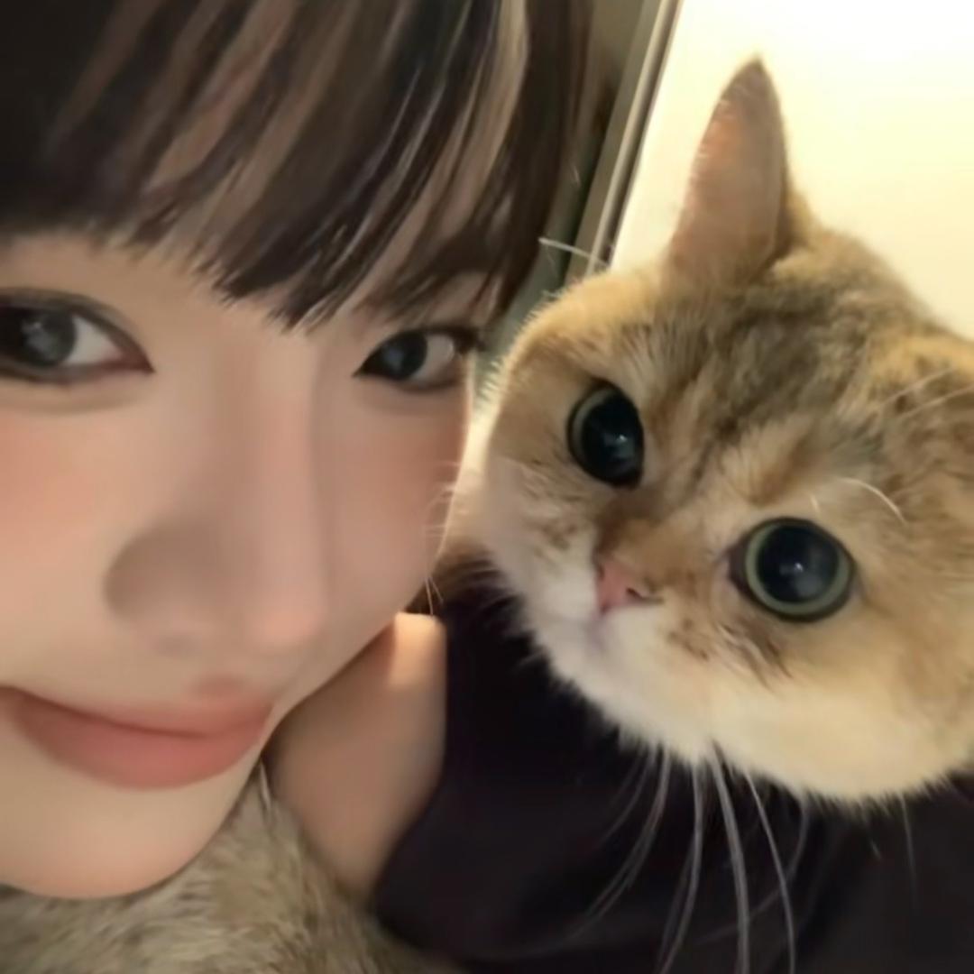 双层吉士双倍酸黄瓜