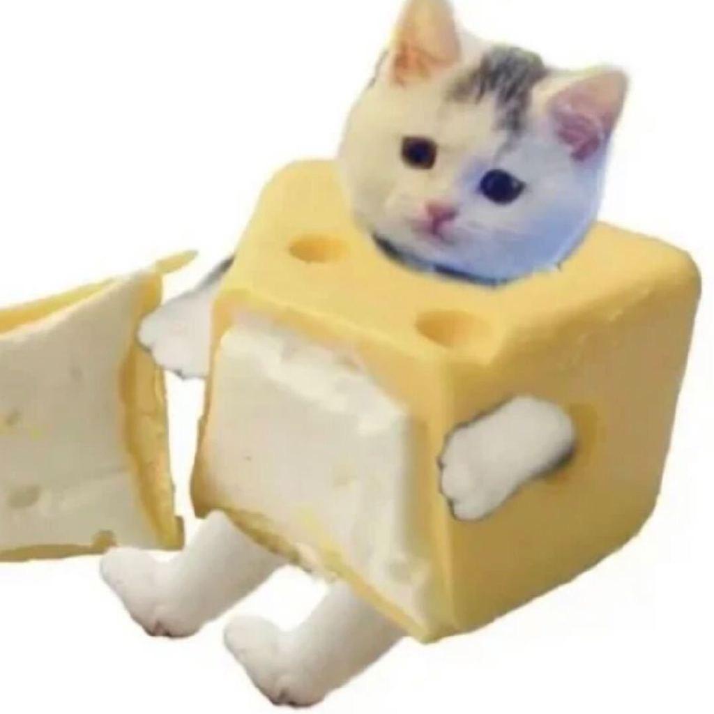 ^_   ̫  _ ̥`
