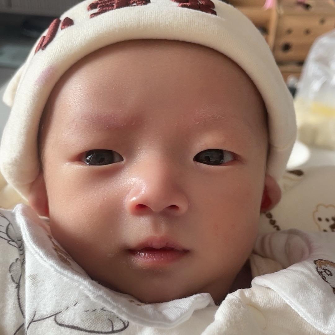 小辰宝
