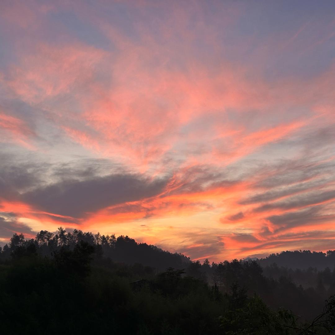 浪子已微醺（苗寨旅拍版）