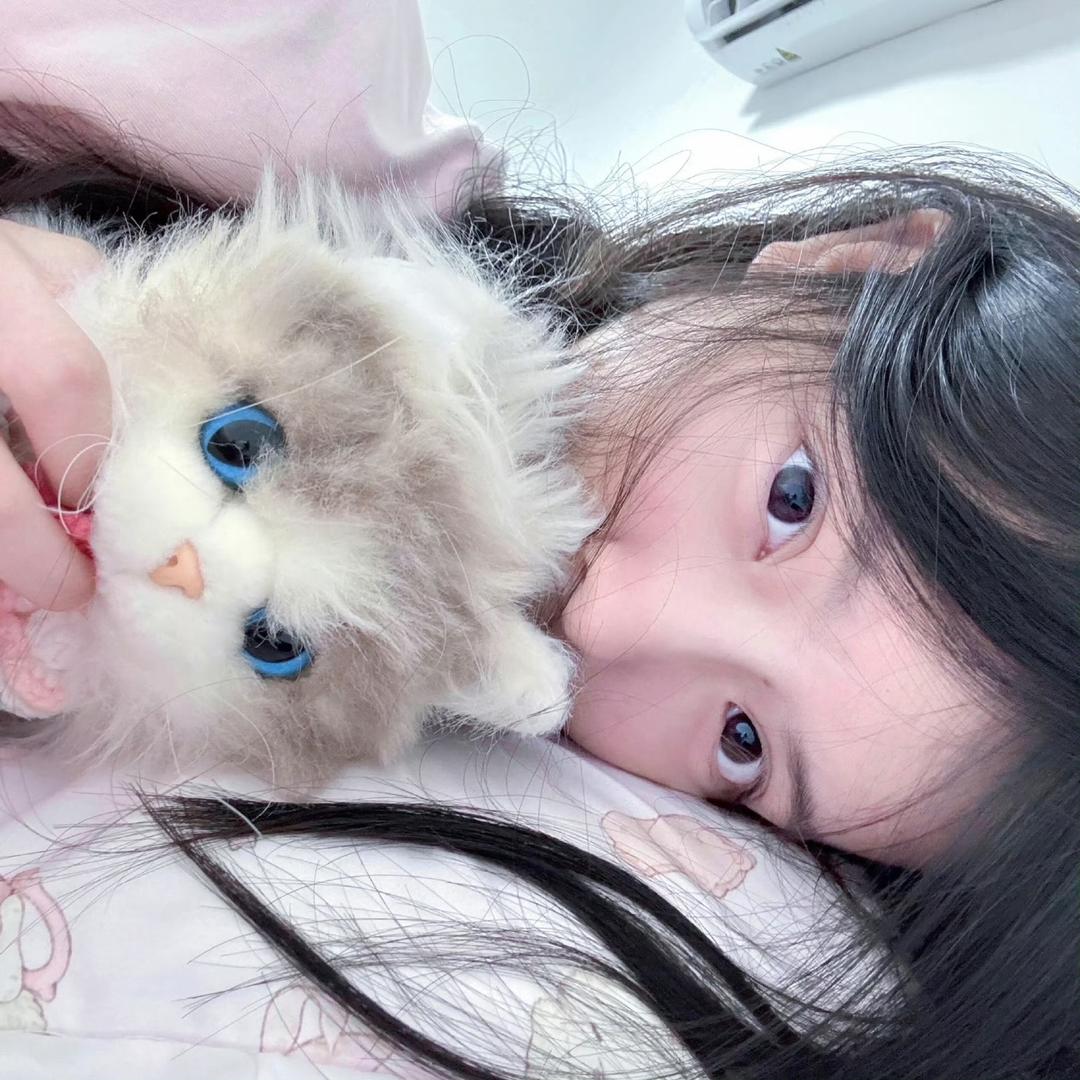 小羊日记