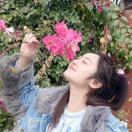 刁妹儿