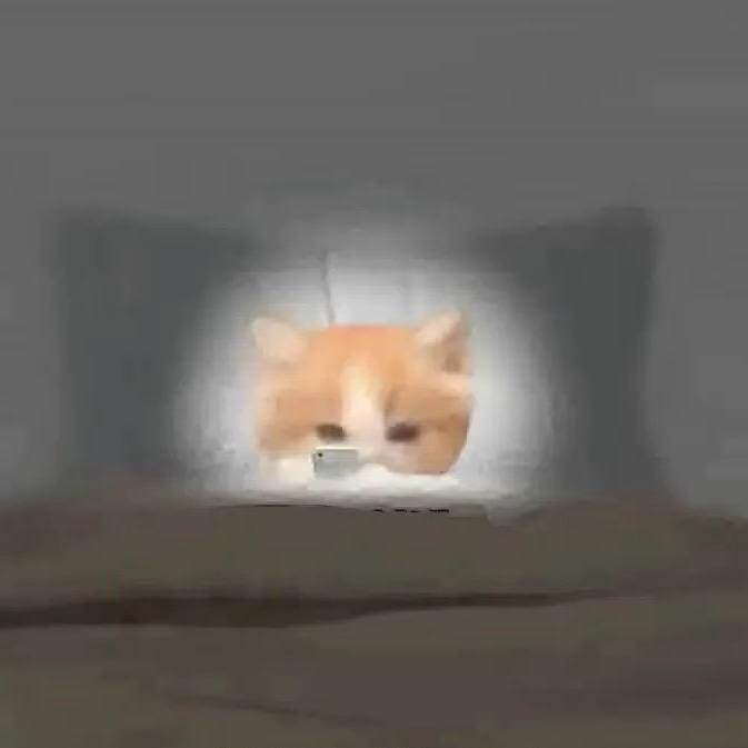 :::