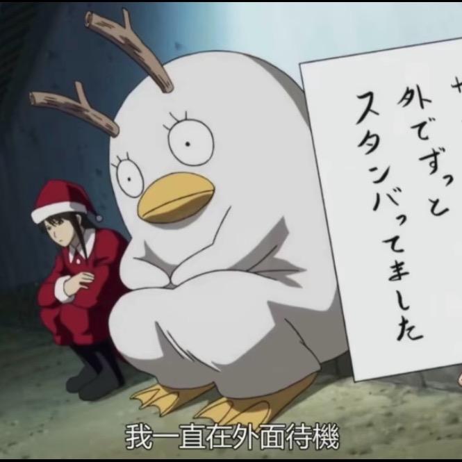 圣诞🎄版本：P —oTATo