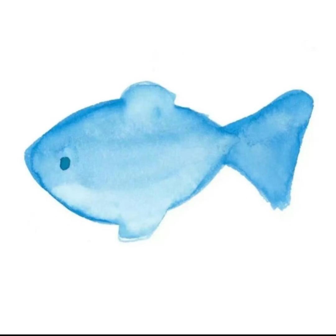 是一只魚