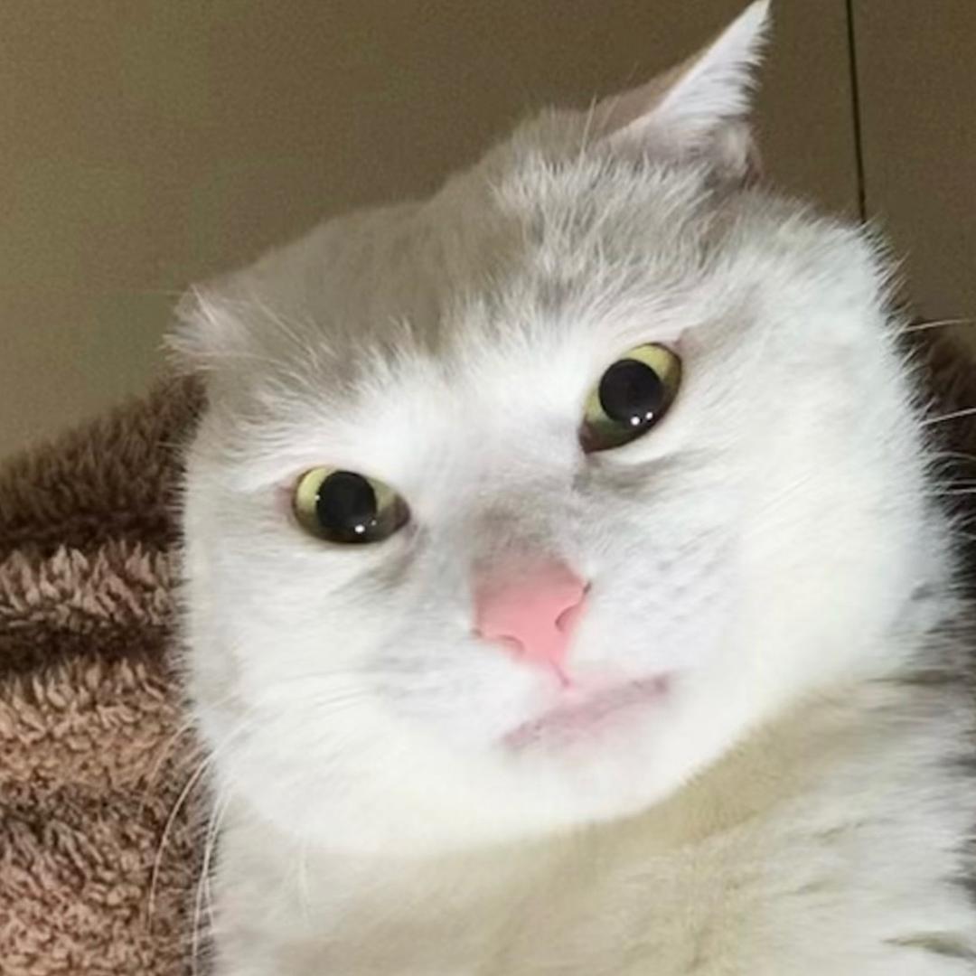 娱乐亿点
