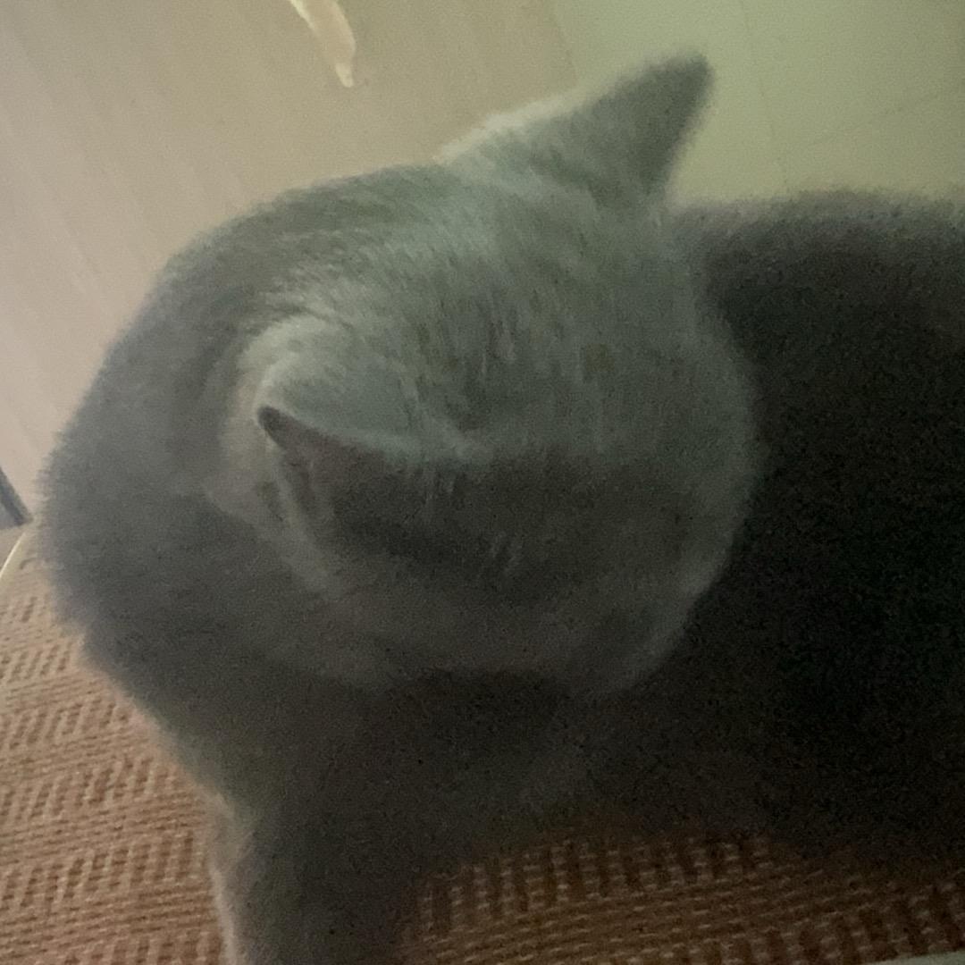 夜色