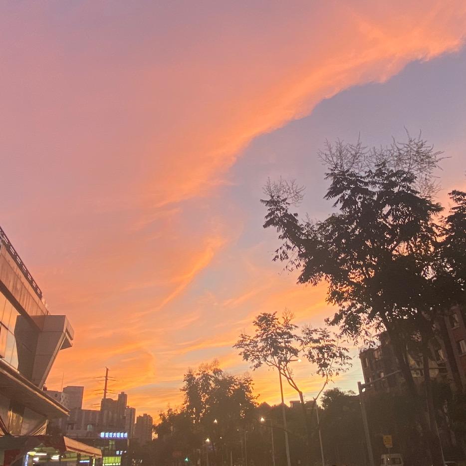 Number one in the wo