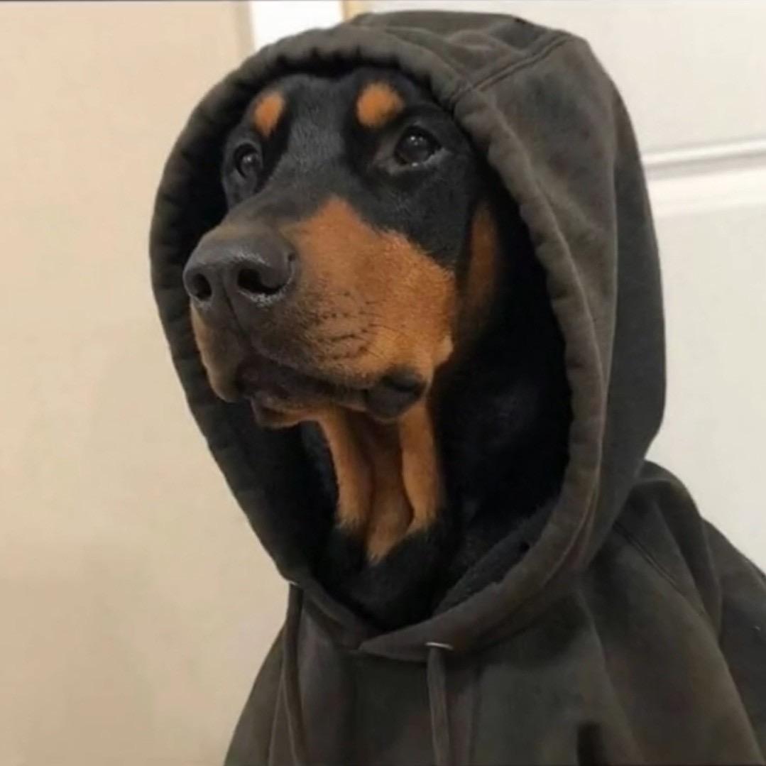 Pirate