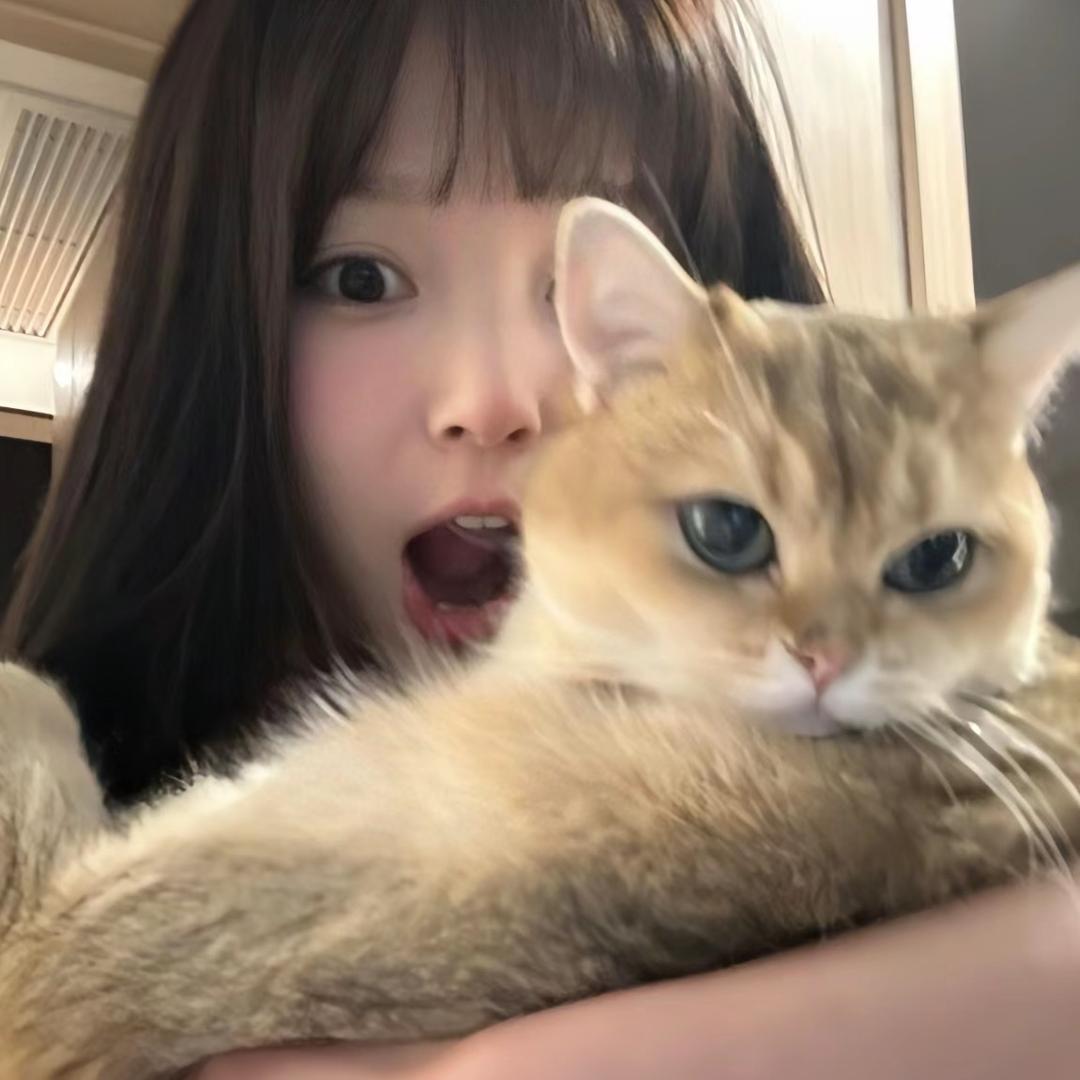鱼饼O