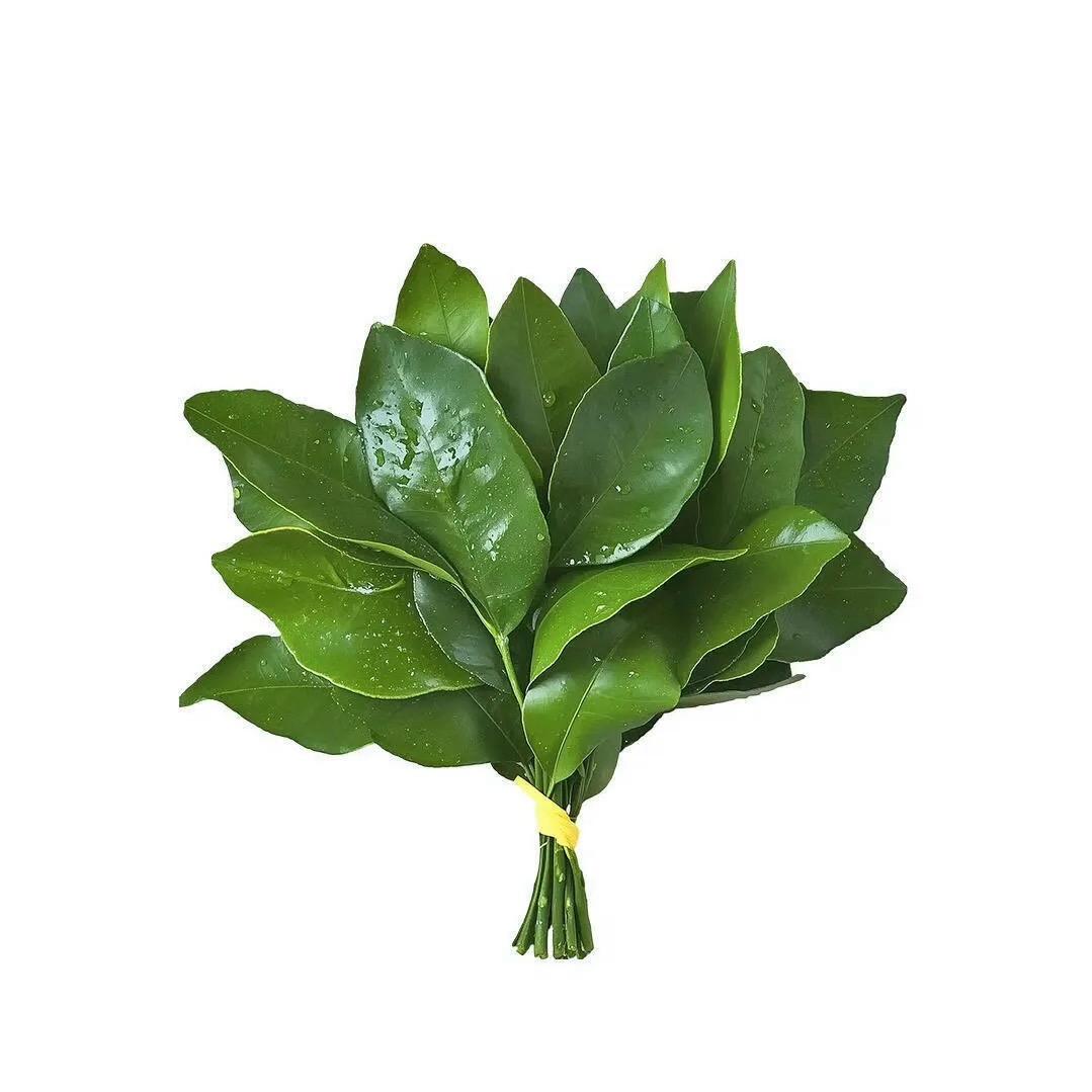 SO🍀