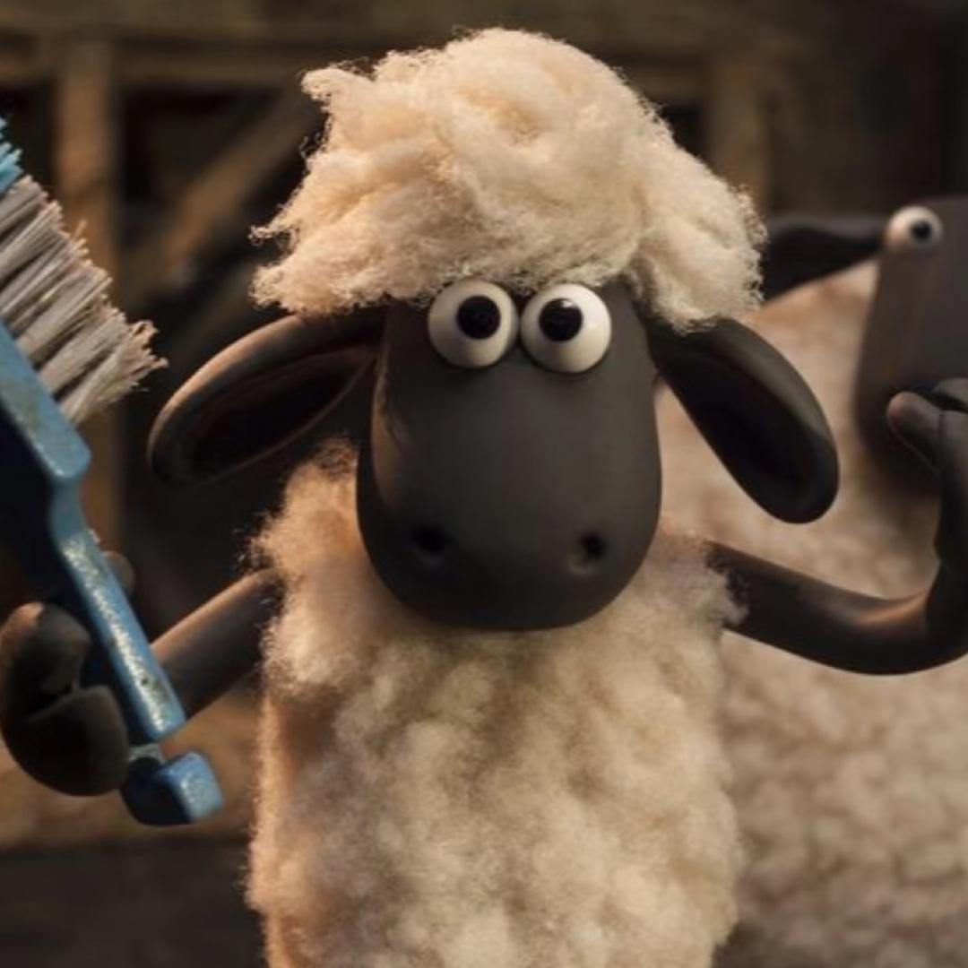 肖恩🐑