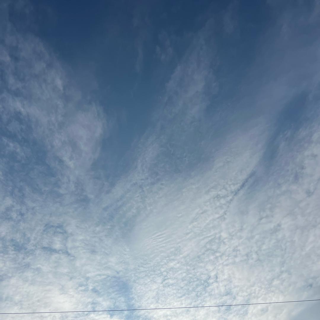 ξ尨の传亽ζ（㿝卄封票版）