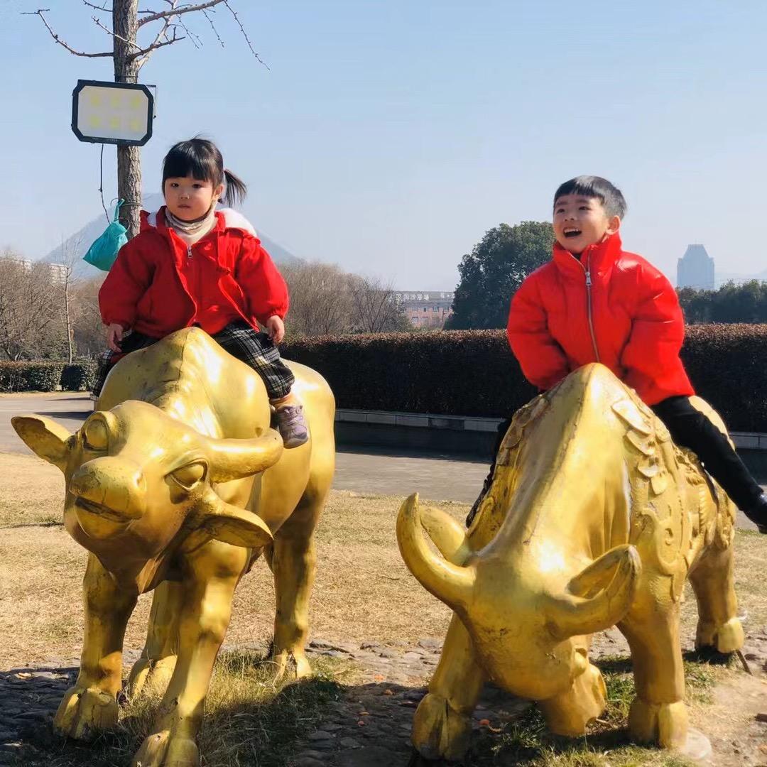 东阳花园家具城雅唐专业红木自动麻将桌胡姐